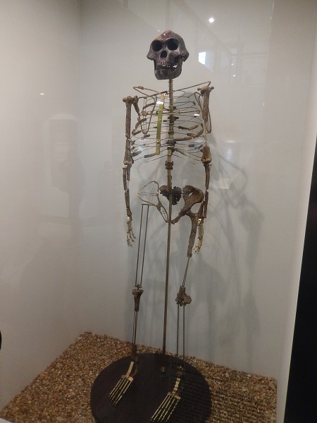 23. října 2018