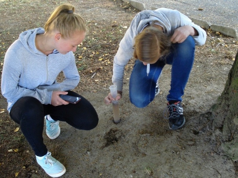 1. pololetí šk. roku 2015-2016