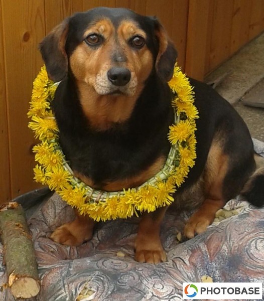 Soutěžní fotografie - ZŠ Žďár n. S. Komenského 2