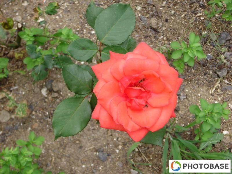 Soutěžní fotografie - ZŠ Žďár n. S. Komenského 2