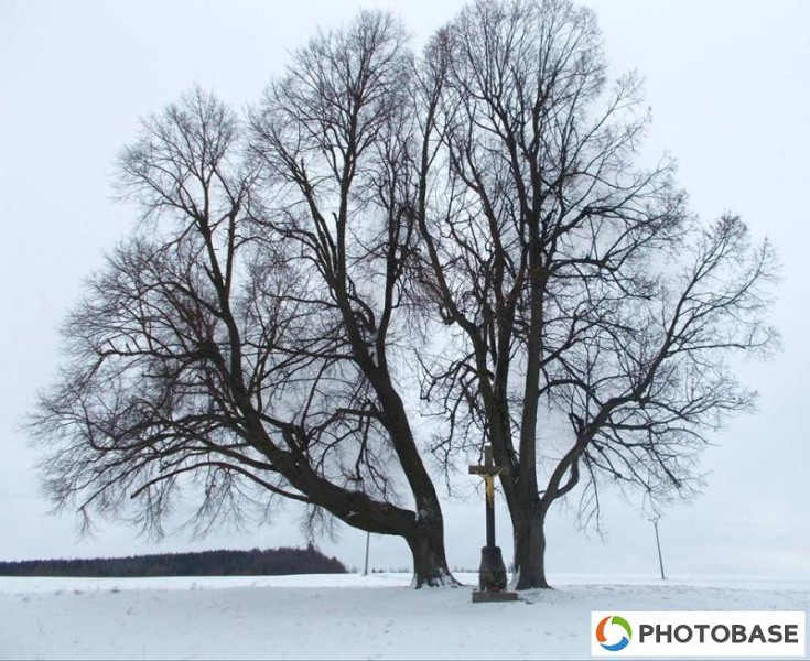 Soutěžní fotografie - ZŠ Žďár n. S. Komenského 2