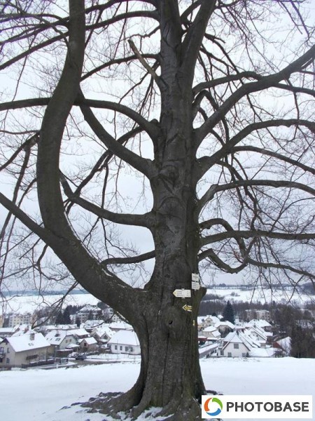 Soutěžní fotografie - ZŠ Žďár n. S. Komenského 2