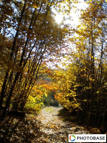 Soutěžní fotografie - ZŠ Žďár n. S. Komenského 2