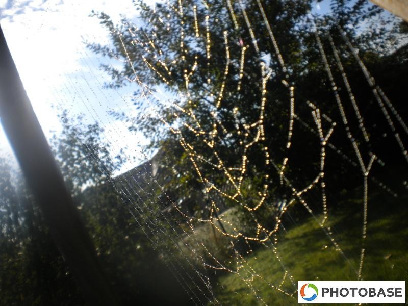 Soutěžní fotografie - ZŠ Žďár n. S. Komenského 2