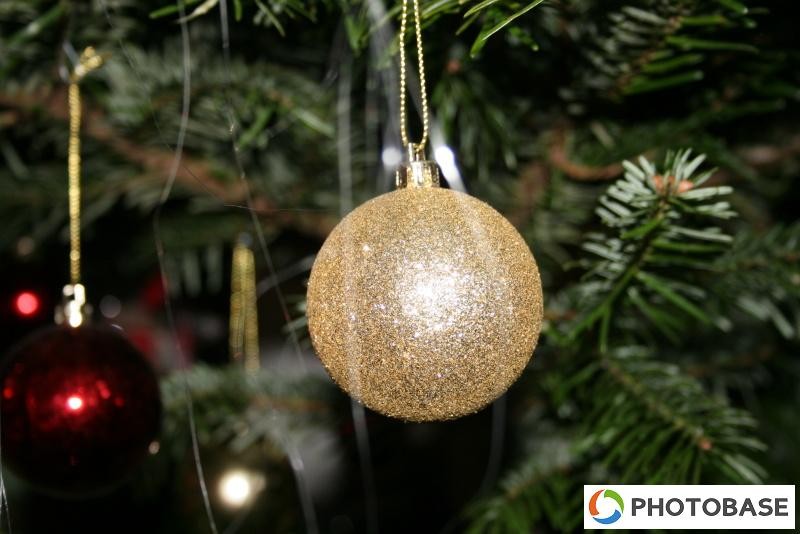 Soutěžní fotografie - ZŠ Žďár n. S. Komenského 2