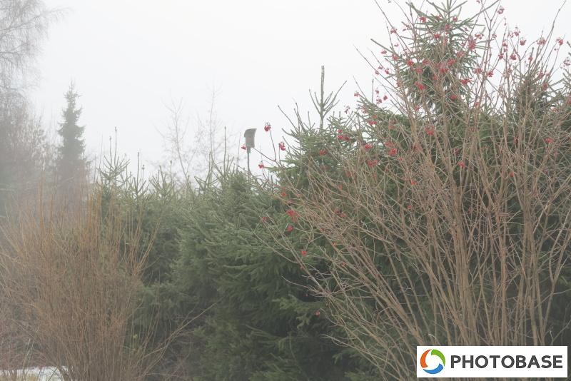 Soutěžní fotografie - ZŠ Žďár n. S. Komenského 2