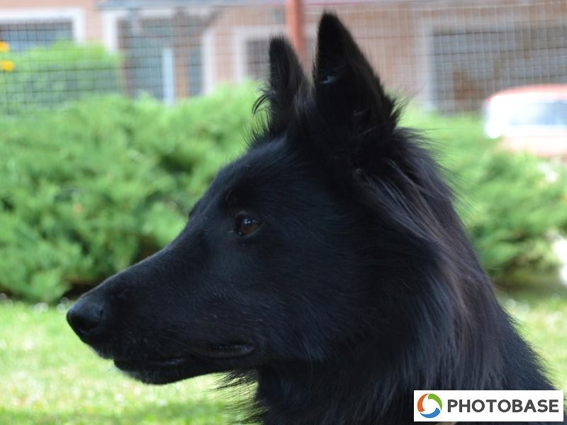 Soutěžní fotografie - ZŠ Žďár n. S. Komenského 2