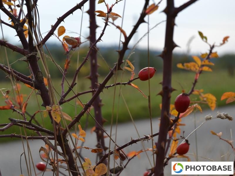 Soutěžní fotografie - ZŠ Žďár n. S. Komenského 2