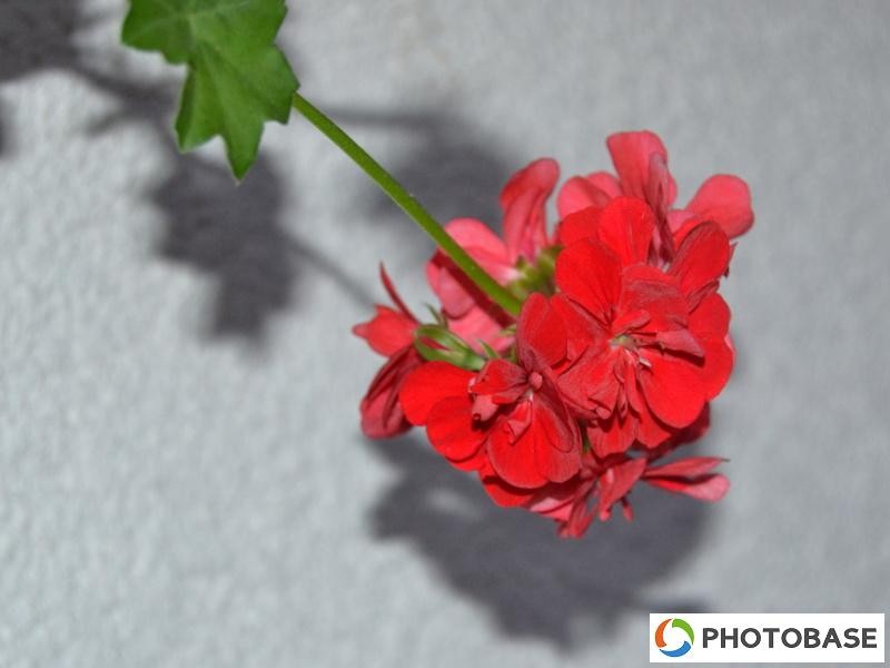 Soutěžní fotografie - ZŠ Žďár n. S. Komenského 2