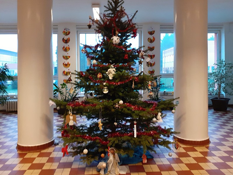 listopad a vyhlášení výsledků 12. prosince 2025