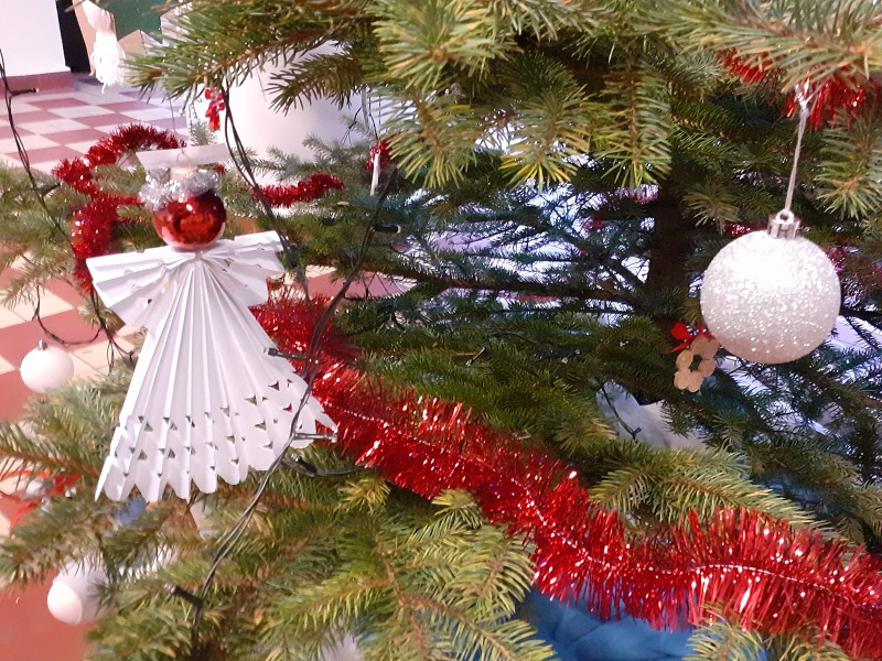 listopad a vyhlášení výsledků 12. prosince 2025