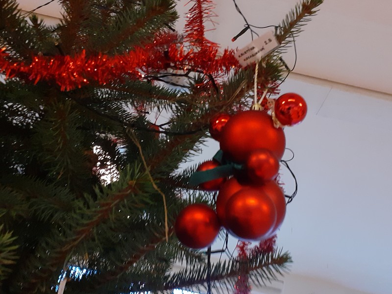 listopad a vyhlášení výsledků 12. prosince 2025