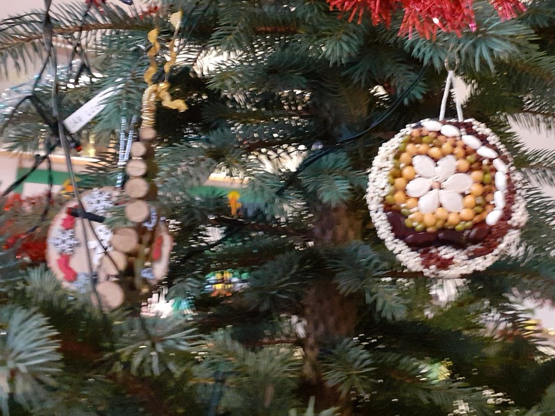 listopad a vyhlášení výsledků 12. prosince 2025