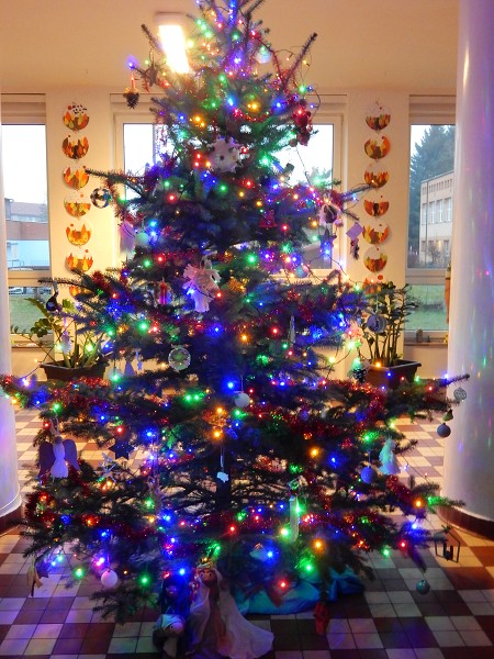 listopad a vyhlášení výsledků 12. prosince 2025