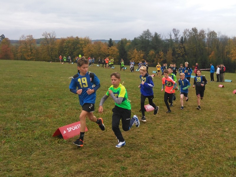 11. října 2017