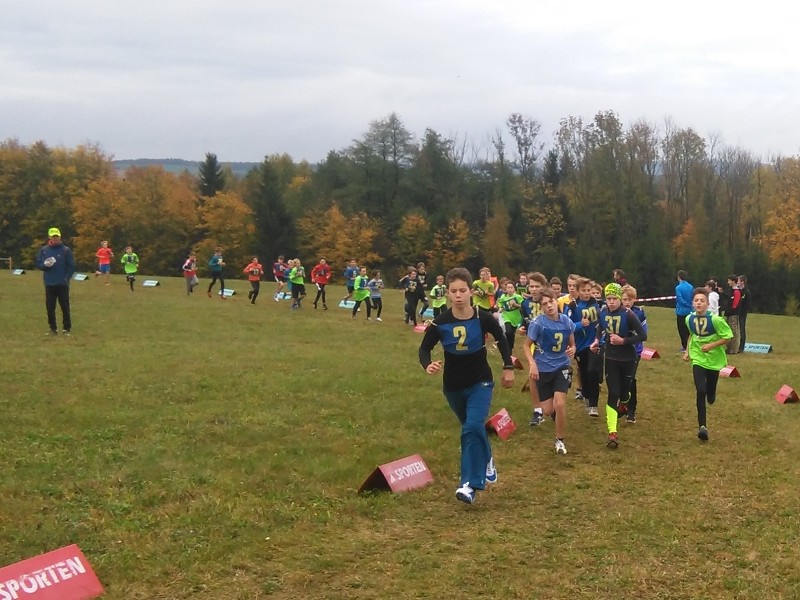 11. října 2017