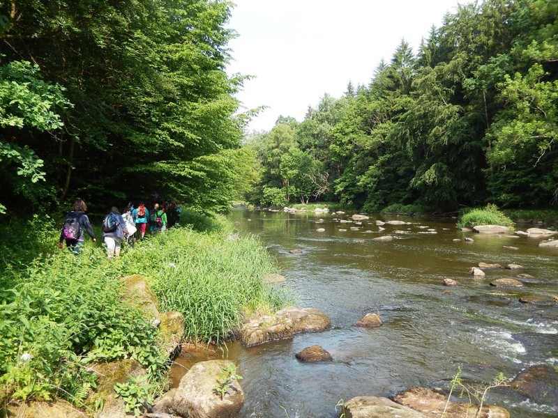 9. června 2016
