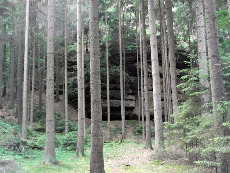 6.- 9. června 2016